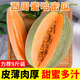 甜果源 新鮮哈密瓜 甜瓜蜜瓜肉厚皮薄果農(nóng)現(xiàn)摘時(shí)令應(yīng)季節(jié)水果整箱包郵 5斤【80%人選擇】 【有籽/無籽隨機(jī)發(fā)】