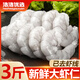 浩浩優(yōu)選新鮮大蝦仁特大蝦仁開(kāi)背蝦仁現剝蝦仁白蝦仁鮮凍冷凍蝦仁已去蝦線(xiàn) 新鮮大蝦仁 1500g(凈重)