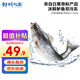 鮮城故事【冰鮮】白蕉海鱸魚2條/共2斤凈重 珠海地標 活魚現(xiàn)捕源頭直發(fā)