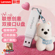 聯(lián)想（lenovo）創(chuàng)意掛件U盤 手機(jī)電腦兩用 高速雙接口Type-c閃存盤 學(xué)生作業(yè)商務(wù)筆記本電腦大容量優(yōu)盤 銀色雙接口U盤【贈(zèng)毛茸小狗掛鏈】 128GB