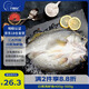 釣魚(yú)記海鱸魚(yú)0.8斤-1斤/條 三去調味 地標品 冷凍真空鎖鮮 生鮮 魚(yú)類(lèi)