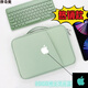 摩奇奧（MOQO）蘋(píng)果iPad11英寸pro12.9平板內膽收納包air4mini6鍵盤(pán)袋pad電腦包 清新綠(白蘋(píng)果版)晚上-熒藍 內置 11寸