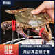 鮮優(yōu)虹海螃蟹舟山梭子蟹新鮮超低溫冷凍大海蟹海鮮水產(chǎn)白蟹飛蟹公蟹母蟹 4-6兩/只 精品母蟹（4-6兩/只）*3斤