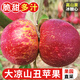 探味君 大涼山丑蘋(píng)果 應當季時(shí)令新鮮水果現摘脆甜紅富士冰糖心 生鮮 凈重3斤（單果60-65mm）迷你果