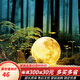 璽登戶(hù)外草坪燈太陽(yáng)能庭院燈防水院子月球月亮燈園林草地花園過(guò)道地燈 戶(hù)外落地直徑20CM接電款三色