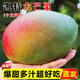 粵迎四川攀枝花凱特芒果芒果新鮮水果應季現(xiàn)摘時令生鮮需催熟再食用 5斤精選裝【爆甜多汁】凈4.5斤