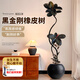 瑯闕1.5-1.7m黑金剛橡皮樹客廳綠植室內(nèi)大盆落地盆栽單枝黑球源頭直發(fā)