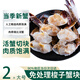 梭子蟹 舟山大螃蟹海蟹飛蟹新鮮冷凍海鮮水產(chǎn) 【免處理 梭子蟹塊】約16-18塊 凈重 2斤