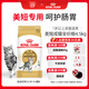 皇家貓糧 美短成貓糧 ASA31 通用糧 12月以上 4.5KG