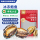 海鼎紀帶殼冷凍鮑魚(yú)凈重200g (8-14個(gè)) 新鮮冷凍 原汁原味 中秋