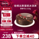 哈根達(dá)斯事事可心蛋糕冰淇淋 520g/6寸 生日蛋糕 配送上門 生日禮物 七夕