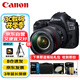 佳能（Canon）EOS 5D Mark IV 5D4 單反相機 全畫幅專業(yè)高端照相機 EF 24-105mm F4 IS II USM套機 旅行暢玩套裝