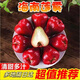 瑞口福海南黑金剛蓮霧果【多地隔日達】新鮮熱帶水果禮盒樹(shù)上熟一級蓮霧 甄選優(yōu)果1斤裝【多地隔日達】