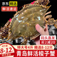 【活蟹發(fā)貨不包活】青島梭子蟹特大鮮活螃蟹海蟹飛蟹母蟹公蟹蟹類(lèi) 【特大精選】4斤8-12只 鮮活發(fā)貨