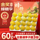 四叔公果蔬貴州蜂糖李【順豐-多地次日達】中秋節(jié)禮品馬六脫骨李子水果禮盒 精品中果（單果38-43mm） 3斤裝（實惠嘗鮮）劃算 凈2.5斤