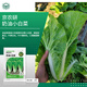 京農(nóng)研農(nóng)科院蔬菜種子大葉香菜四季小蔥雞毛菜紅莧菜芝麻菜空心菜種籽孑 京農(nóng)研奶油白幫小白菜 2克