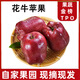 騎猴趕馬甘肅天水花牛新蘋(píng)果新鮮應季生鮮水果送禮水果蘋(píng)果 5斤老樹(shù)甄選款【單果60-70mm】?jì)糁?.5斤 【團購進(jìn)店咨詢(xún)客服哦~】