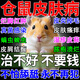 倉(cāng)鼠皮膚病專(zhuān)用藥倉(cāng)鼠金絲熊荷蘭豬紅腫脫毛真菌感染小寵皮膚噴劑 1瓶【體驗(yàn)裝】好評(píng)爆款