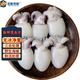 應(yīng)魷盡魷新鮮冷凍墨魚(yú)仔魷魚(yú)仔火鍋燒烤食材三去免處理墨魚(yú)小烏賊仔 【10-20】 350g(凈重)  4袋（凈重2.8斤）