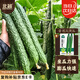 北蔬 大黃瓜種子種苗綠肉密刺青瓜早熟蔬菜種籽 密刺大黃瓜種子100粒