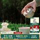 萬仟堂（Edenus）旅行茶具 陶瓷高檔便攜茶具套裝 旅行家用1壺2杯1包 春竹·快客杯 滿天星