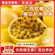 京地達廣西欽蜜九號黃金百香果凈重8斤單果90g+健身輕食 源頭直發(fā)包郵