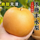 喀蔻梨子萊陽(yáng)豐水梨新鮮水果當(dāng)季現(xiàn)摘黃花大翠冠酥雪梨整箱 9斤 【精品裝】大果250g+