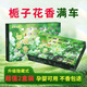 吉祥先森車(chē)載香薰汽車(chē)香水綠茶固體香膏車(chē)載香氛座杯式擺件車(chē)內除味香磚氛 梔香如意【梔子花香】【2盒】