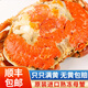 滿黃面包蟹原裝進口 600-800g/只 熟凍深海蟹超大母蟹黃金蟹 400g-600g /只*2只