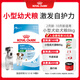 皇家狗糧幼犬狗糧幼犬奶糕寵物小型犬MIJ31全價(jià)犬糧2-10月8KG