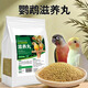 茨格曼玄風(fēng)虎皮鸚鵡滋養丸飼料鳥(niǎo)食牡丹文鳥(niǎo)畫(huà)眉營(yíng)養糧食合成主食500g