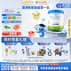 貝拉米（Bellamy's）白金版2段較大嬰兒奶粉800g 6~12月 有機A2蛋白 澳洲原裝進口
