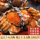 【活蟹】水淼鮮 洪湖大閘蟹鮮活螃蟹生鮮現(xiàn)貨海鮮水產(chǎn)年貨禮品 公3.7-4.0兩 母2.7-3.0兩 3對(duì)6只
