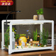 憨憨寵魚缸懶人魚缸過濾免換水生態(tài)一體缸塑料家用客廳辦公室桌面金魚缸 米白色豪華套餐（31*21*20cm）