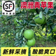 珍妹陜西青蘋(píng)果水果新鮮孕婦酸水果綠蘋(píng)果澳洲青蘋(píng)果酸脆時(shí)令采摘整箱 4斤