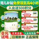君樂寶恬適嬰幼兒配方奶粉170克 添加小分子蛋白 恬適1段試用裝170克