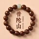 LNGA LANDGRE金絲楠木手串男士和田玉檀木佛珠文玩金絲檀盤(pán)玩手鏈女天然 【和田玉晴水款】金絲檀木8mm