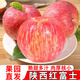 京愿陜西紅富士蘋果脆甜丑蘋果時令平果新鮮冰糖心蘋果水果生鮮 凈重4.5斤實惠裝