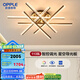 歐普（OPPLE）星語星愿/星空導(dǎo)光板輕奢吊燈組合無主燈客臥餐廳套餐DD 【大6條】大客廳