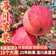 洛川蘋(píng)果陜西延安特產(chǎn)紅富士時(shí)令蘋(píng)果水果禮盒送蘋(píng)果生鮮新鮮脆甜整箱批發(fā) 18個(gè)80mm大果優(yōu)選 彩箱裝【推薦】