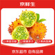 京鮮生 火參果 6粒裝單果250g+ 生鮮水果源頭直發(fā)