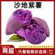 紫薯新鮮代餐板栗紫薯現(xiàn)挖現(xiàn)發(fā)地瓜粉糯香甜生鮮代餐沙地紫薯 5斤【果推薦裝 | 單果3兩+】 凈重4.5斤 【果蔬金榜】