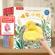 樂(lè )樂(lè )趣觸摸書(shū)嬰兒寶寶繪本0-3歲地板書(shū) 小兔比利小熊波比亮麗精美觸摸書(shū) 蒙氏早教睡前故事書(shū)幼兒圖書(shū)啟蒙洞洞翻翻機關(guān)書(shū) 【4冊】寶寶睡前觸摸故事書(shū)全套
