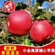 四川小金蘋(píng)果四川阿壩州高原糖心紅蘋(píng)果紅富士孕婦老人兒童水果10 5斤JD快遞派送到家 75mm(含)-85mm(不含)