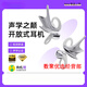 REAL YOUNG數(shù)聚REAL YOUNG JWS精靈耳掛耳開放式無線藍牙耳機舒適智能高顏值 銀翼色