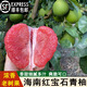 鑫果滋【順豐】海南紅寶石青柚 翡翠青皮柚子紅肉柚子紅心新鮮水果送禮 【發(fā)順豐】 8斤(2-5個(gè))