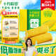 十月稻田黃糯玉米4.4斤(220g*10根) 含纖維粗糧 低脂早餐 雜糧禮盒 東北