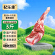 杞樂(lè )康 寧夏灘羊肉  精修羔羊前腿3斤羊肉禮盒 羊腿火鍋燒烤燉煮食材