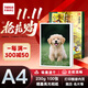 天章 （TANGO）新綠天章 A4相片紙230g高光相片紙 照相紙A4噴墨照片紙 宣傳名片菜單打印紙 100張/包