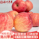 洛川蘋(píng)果陜西延安特產(chǎn)紅富士時(shí)令蘋(píng)果水果禮盒送蘋(píng)果生鮮新鮮脆甜整箱批發(fā) 凈重8.5斤80-85mm 鉑金大果脆甜